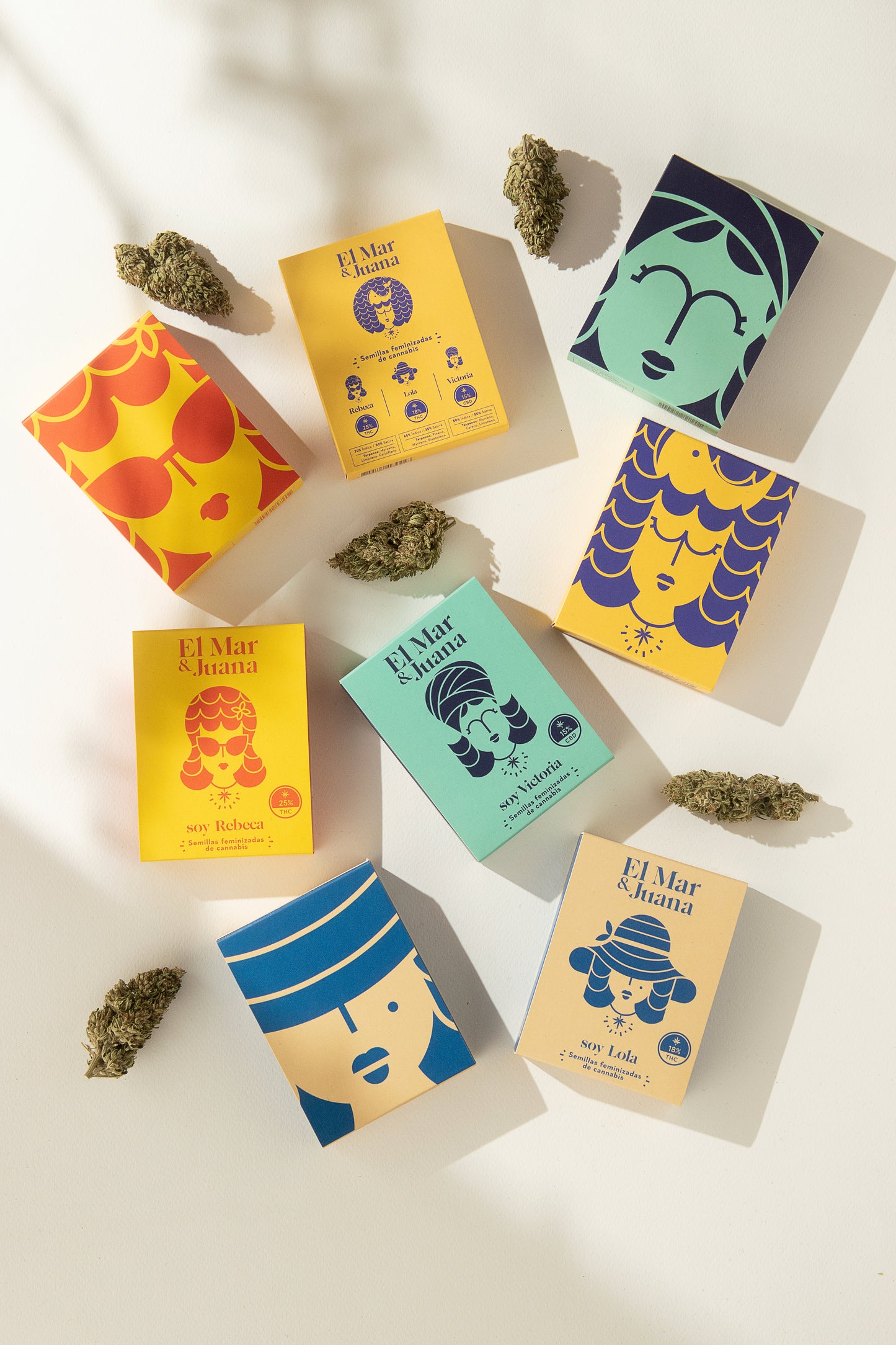 Lola - Semilla Feminizada THC