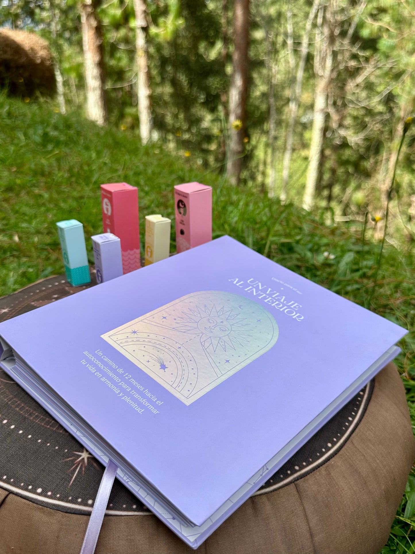 Combo viaje al interior