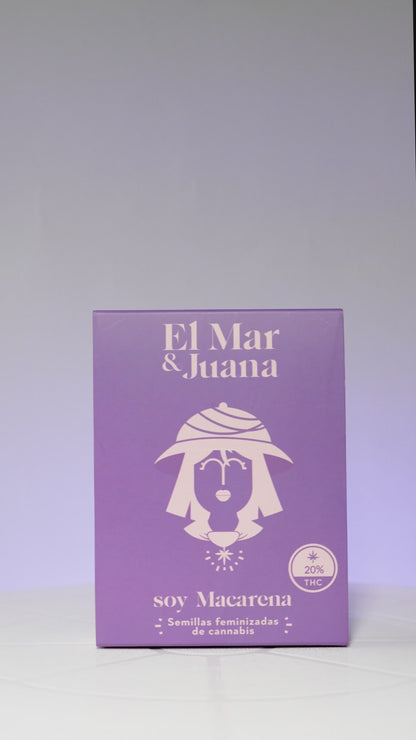 Macarena - Semillas Feminizadas THC